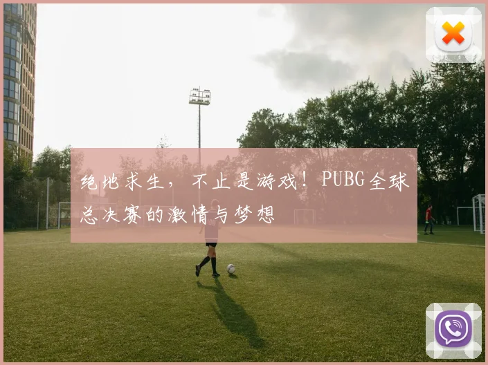 绝地求生,不止是游戏!PUBG全球总决赛的激情与梦想