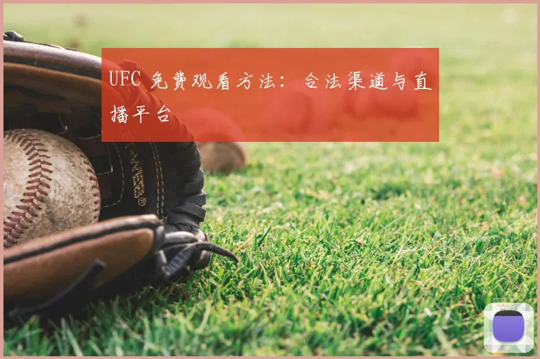 UFC 免费观看方法：合法渠道与直播平台