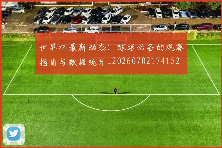世界杯最新动态：球迷必备的观赛指南与数据统计_20260702174152