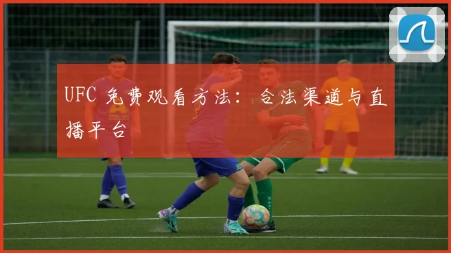 UFC 免费观看方法:合法渠道与直播平台
