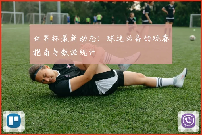 世界杯最新动态：球迷必备的观赛指南与数据统计